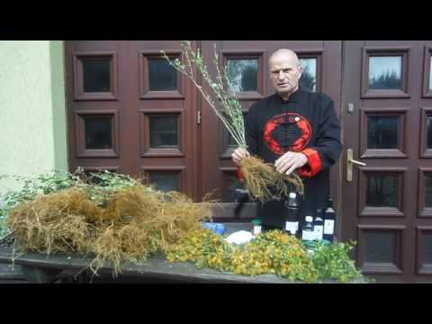Środek do usuwania włosów dla mężczyzn zawsze Bita oleje do pielęgnacji włosów