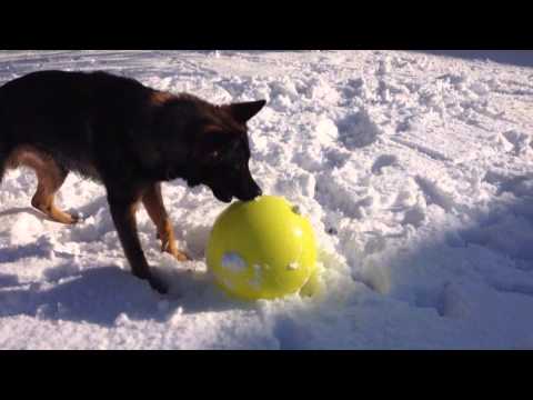 Liebe - Varsity Ball Snow Fun 021314