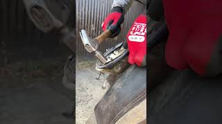Driving them nails in fast &amp; slowww …. #hoofcare #farrier