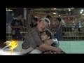 DADDY O! BABY O! trailer