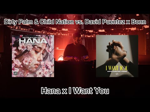 Hana x I Want You - Dirty Palm & Child Nation vs. David Puentez x Bonn (HandZ Mashup)