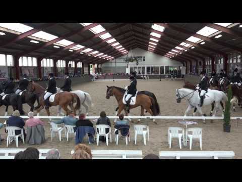 NK Carrousel 2016 - Proef WCG voorronde