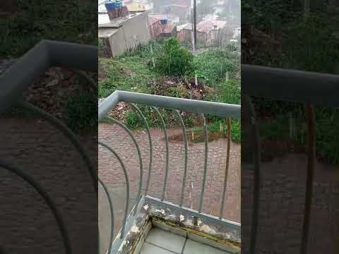 🇧🇷 CHUVA EM TRIUNFO, PERNAMBUCO 02/03/2026 #chuvas #alerta #turismo #sitio #travel