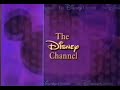 The Disney Channel Id 1997