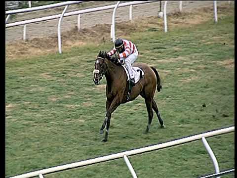 Galoppo 09/01/2019 - 1ª corsa