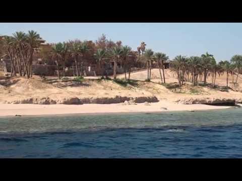 Синайский берег