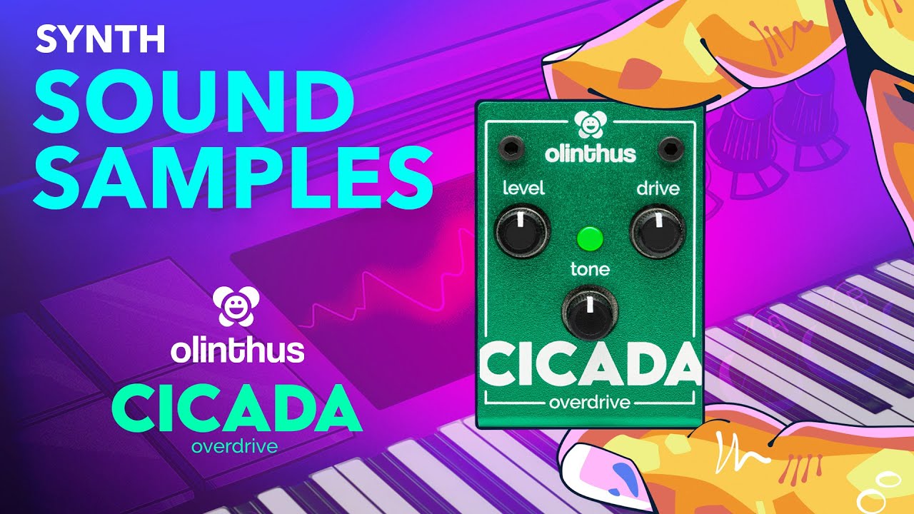 Olinthus Cicada Overdrive - Synth Sound Samples!