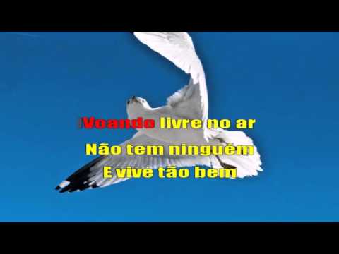 Joelma   Pombinha Branca