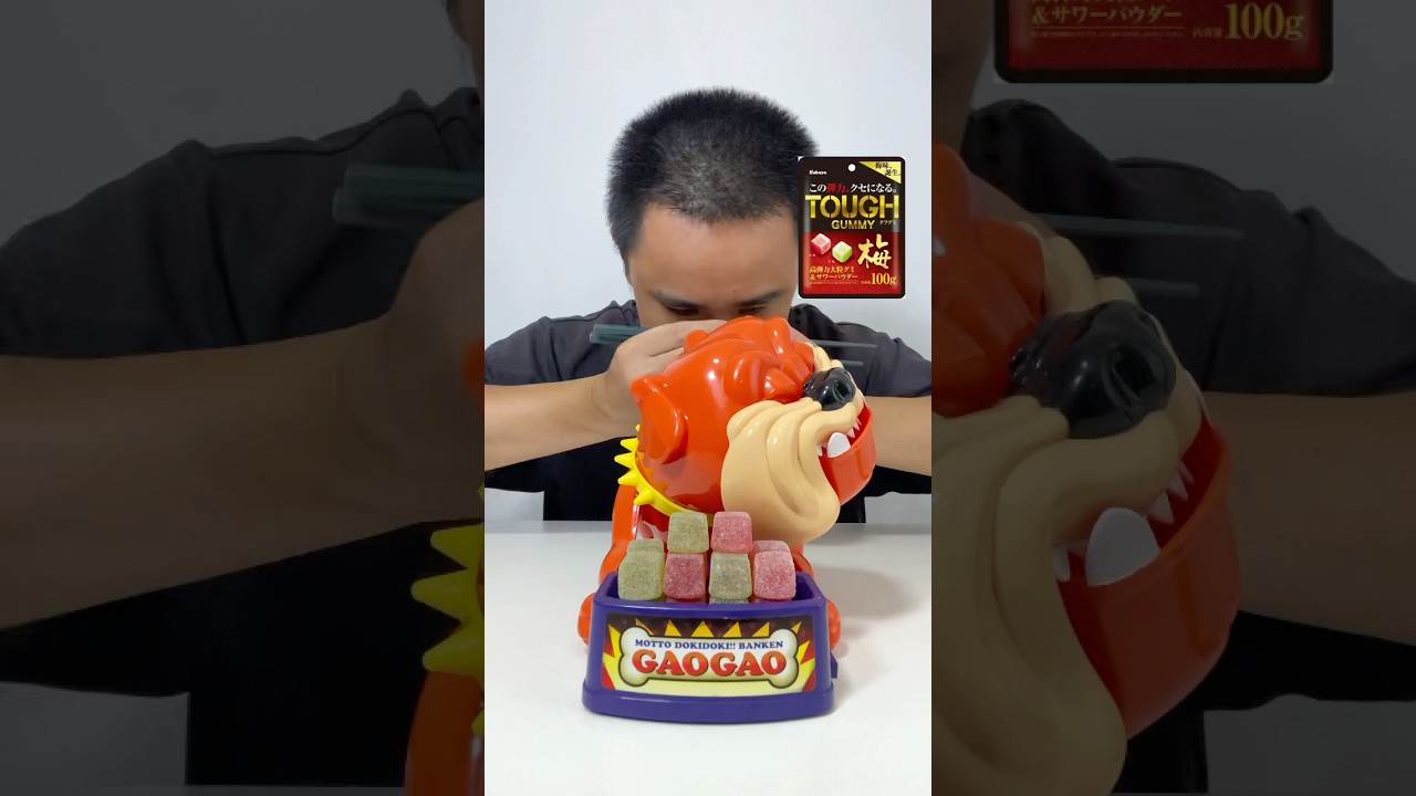 番犬ガオガオチャレンジ【silent challenge】 #shorts