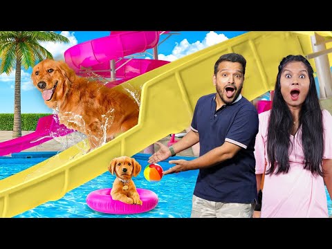 Our Dog’s Dream Water Park Is Finally Here! You Won’t Believe This.