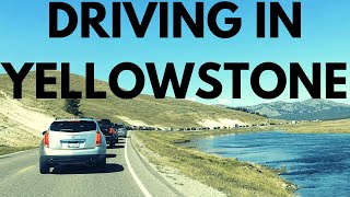 10 things NOT to do when driving in Yellowstone