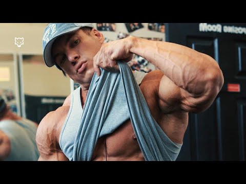 BAD WOLF 🐺 - Caike pro