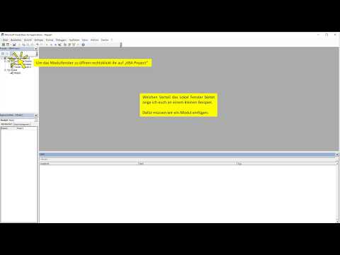 Excel VBA: Einrichten des VBA-Editorsm (das Lokal Fenster)   #excel #vba