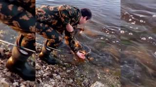 Как ловят сомов на оке