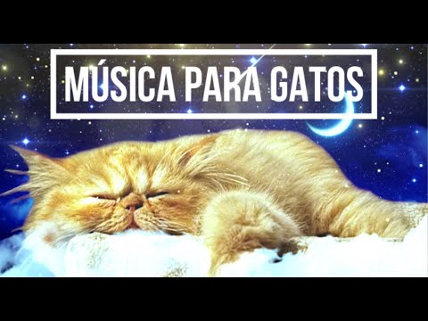 Música RELAJANTE para GATOS 😺😺  asustados y estresados  🧶🧶