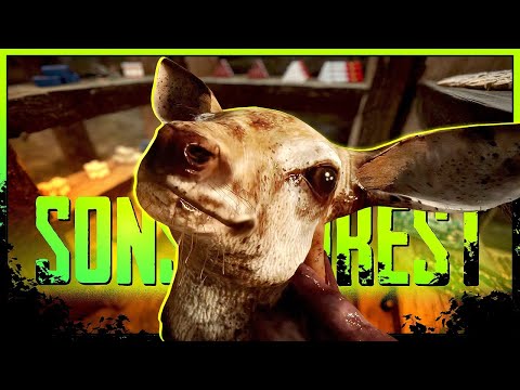SONS OF THE FOREST 🌲 S2E078: Wird der Hammer: Die VORRATSKAMMER