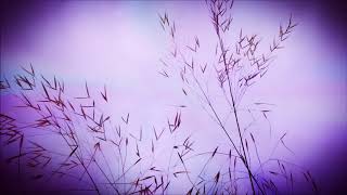 Don&#39;t Wanna Know &#39;bout Evil