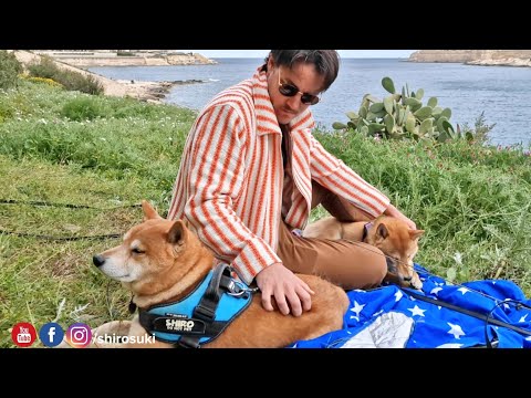 Spa Day for Shiro ❤️ he's lovin it