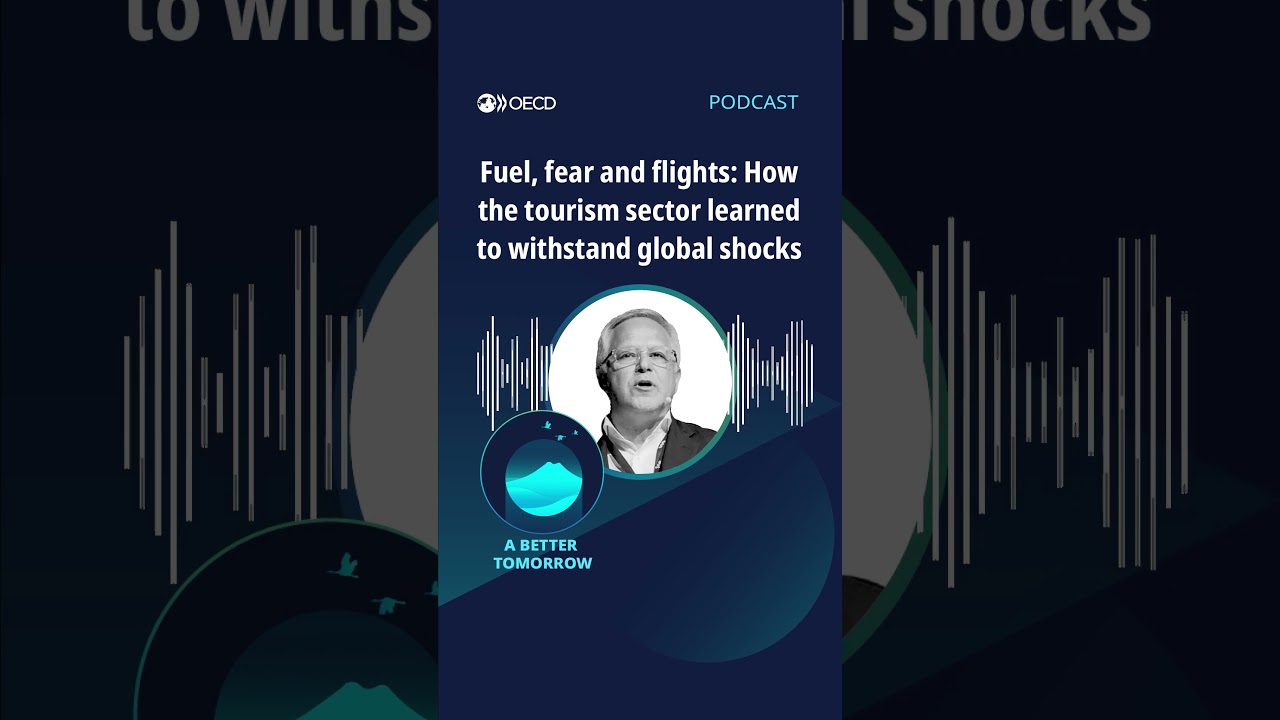 Fuel, fear and flights: How the tourism sector learned to withstand global shocks