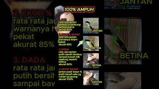 Download lagu ciri ciri cendet paling akurat 100% jitu #cendet mp3