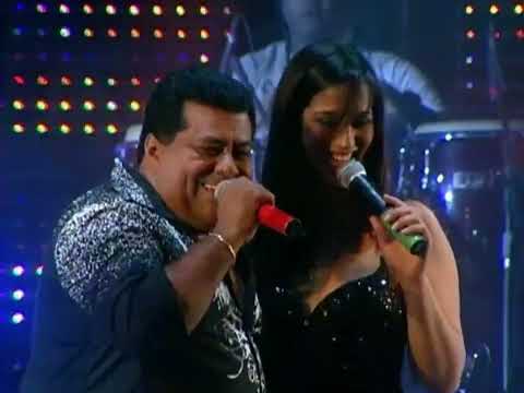 Mundo Natural - Gatinha Manhosa