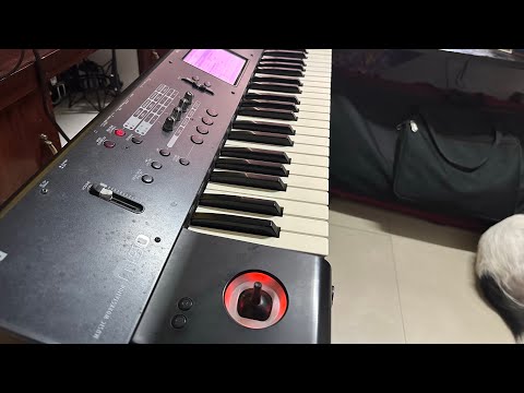 Korg M50 lead Guiter tone