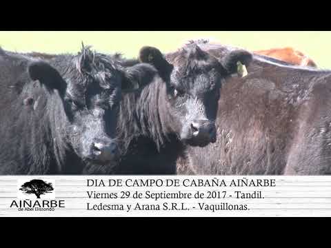 05-09-17 Dia de Campo Cabaña Aiñarbe - Remate Viernes 29-09-17.