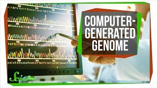 The First Computer-Generated Bacterial Genome | SciShow News