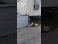 Hurricane Irma - That Prankster!