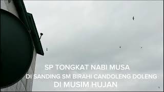 Download lagu SP TONGKAT NABI MUSA SANDING BIRAHI CANDOLENG DOLENG RESPON DI MUSIM HUJAN mp3 Download lagu SP TONGKAT NABI MUSA SANDING BIRAHI CANDOLENG DOLENG RESPON DI MUSIM HUJAN mp3