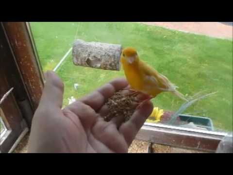 2016 08 15 Hansi und Fips