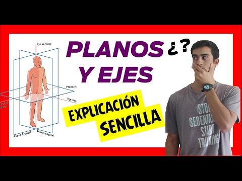 👌 PLANES AND AXES of the human body and its MOVEMENTS [EASY AND SIMPLE] JOINTS (part 3)