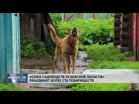 10.09.2019 / «Союз садоводств Псковской области » объединит более ста товариществ