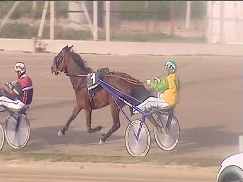 Trotto 08/03/2019 - 3ª corsa