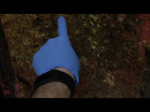 Trash Room Sanitation Issue in Asbury Park, NJ