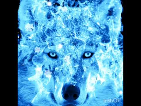 MC Mãozinha É MC GP COLEI NA QUEBRADA 👍👈