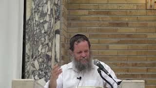 יישוב הארץ וענין השבועות | הרב אהרן פרידמן, ראש הישיבה (ישיבת כרם ביבנה) - התמונה מוצגת ישירות מתוך אתר האינטרנט יוטיוב. זכויות היוצרים בתמונה שייכות ליוצרה. קישור קרדיט למקור התוכן נמצא בתוך דף הסרטון