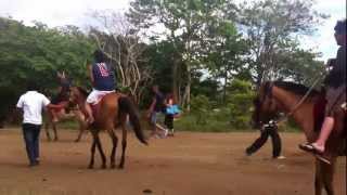 preview picture of video 'Horse back riding in picnic grove tagaytay'