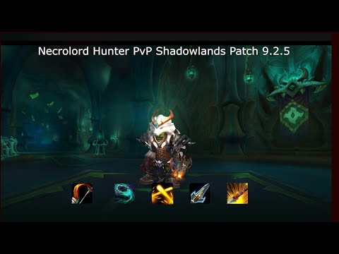 This Damage Is Crazy- Nercolord Marksmanship Hunter PvP Shadowlands Patch 9.2.5