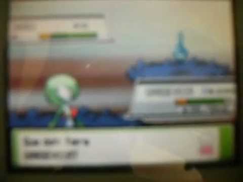 comment trouver tous les zarbi dans soulsilver