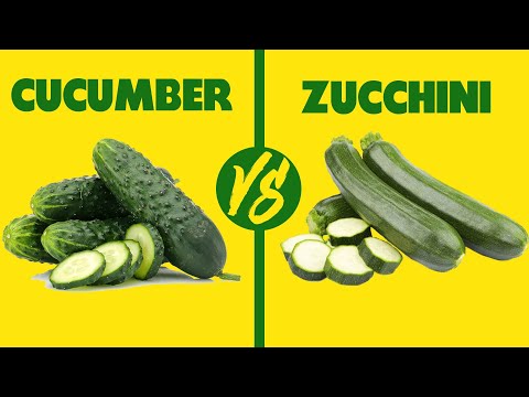 Cucumber vs Zucchini: How Do They Compare (Which Comes Out on Top?)