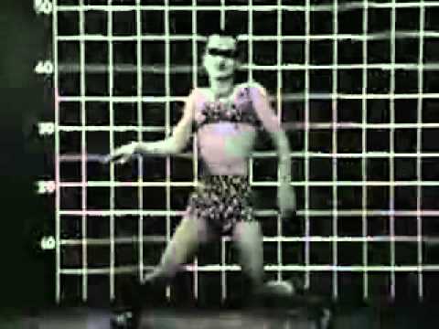 Barkmarket   Grinder