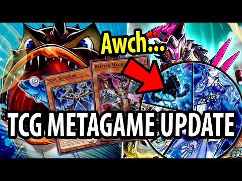 WHAT HAPPENED AT YCS MINNEAPOLIS?? | TCG Metagame Update (DABL)