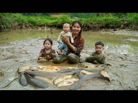 How to catch giant fish in mud puddles to sell - Cooking meat porridge for young children to eat
