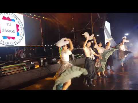 Instituto de Formación Artistica.                                  TU PASIÓN-Pichanal -Salta 2026 