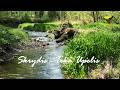 Skrydis - Teka Upelis