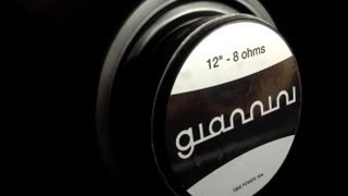 Video thumbnail for Review | Amp Giannini G65 | Alex Machado by Alex Machado