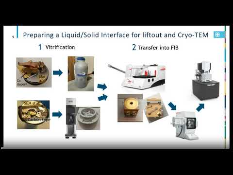 Cryogenic Electron Microscopy of Beam and Air-Sensitive Materials