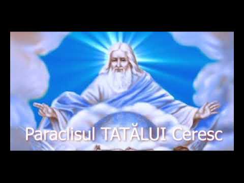 Paraclisul TATĂLUI Ceresc - slujitor Dani
