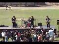 system of a down cover (soil) - sugar 